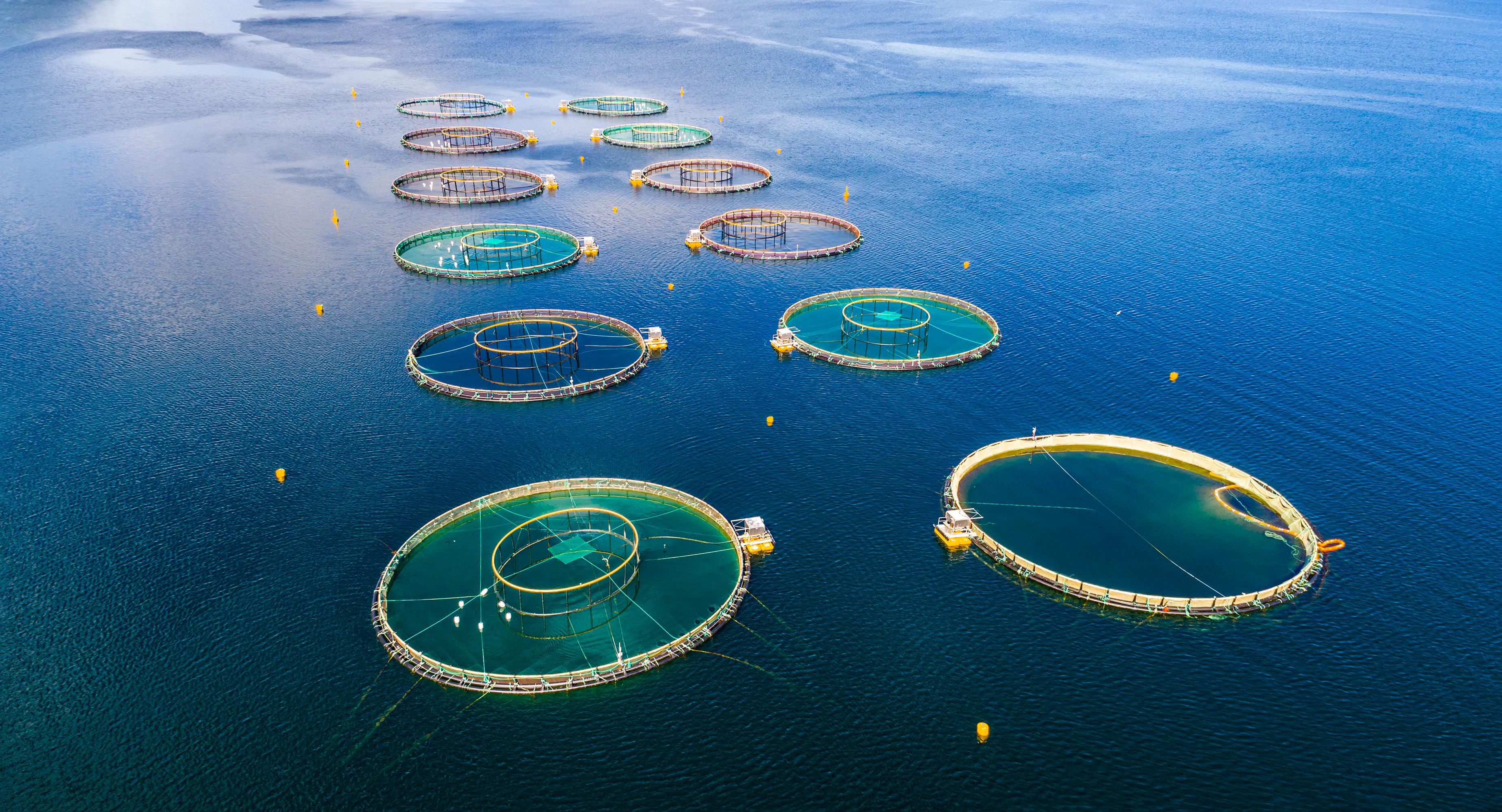 Ocean aquaculture and marine technology background