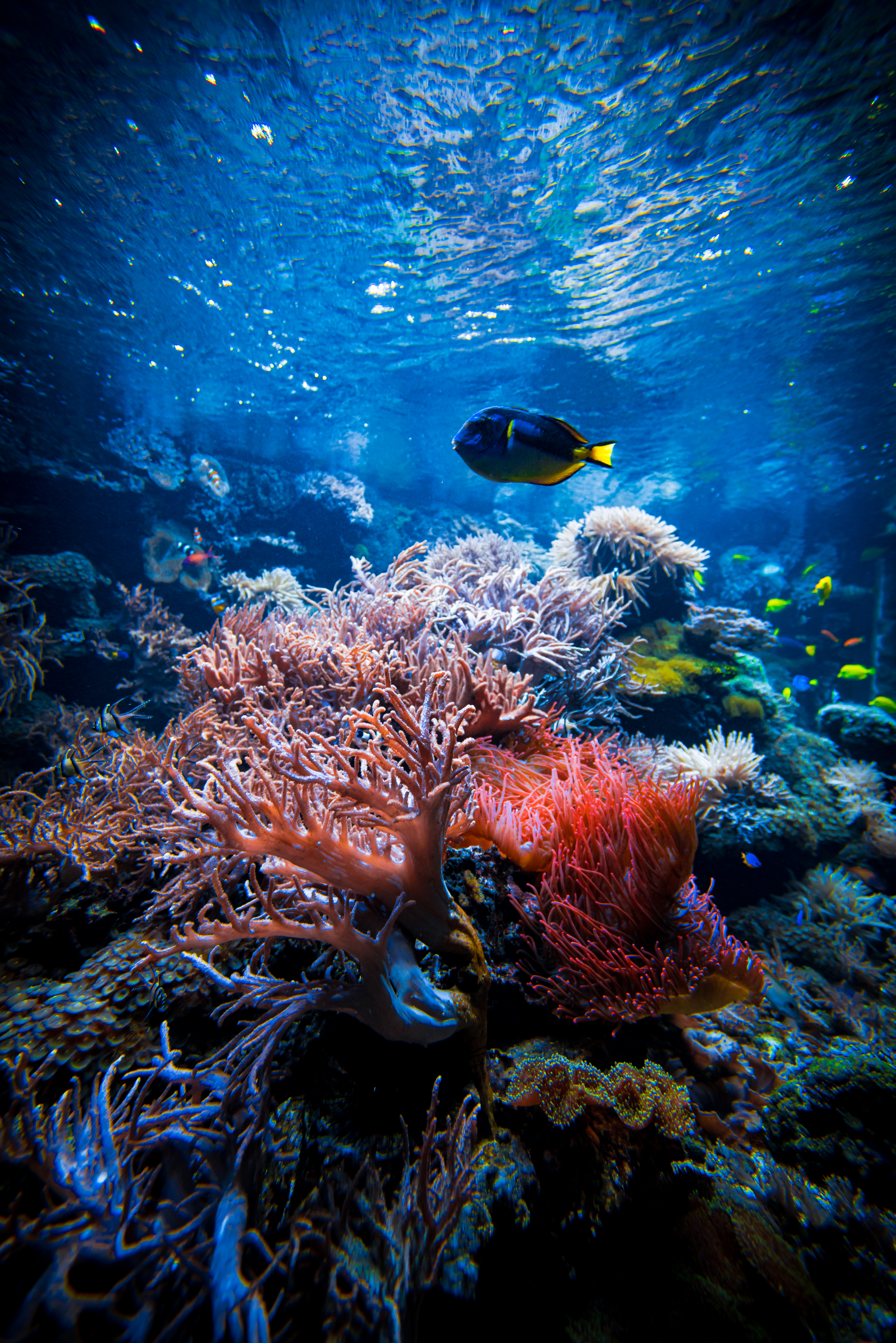 Environmental Impact